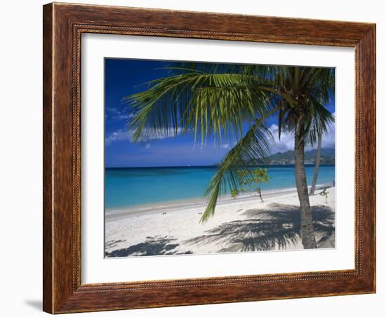 Palm Tee and Beach, Grand Anse Beach, Grenada, Windward Islands, Caribbean, West Indies-John Miller-Framed Photographic Print