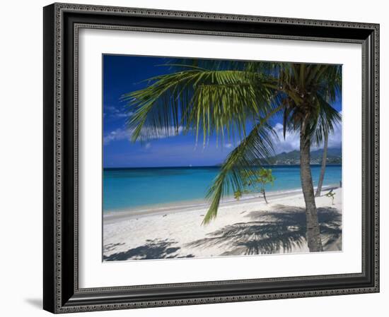Palm Tee and Beach, Grand Anse Beach, Grenada, Windward Islands, Caribbean, West Indies-John Miller-Framed Photographic Print