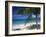 Palm Tee and Beach, Grand Anse Beach, Grenada, Windward Islands, Caribbean, West Indies-John Miller-Framed Photographic Print