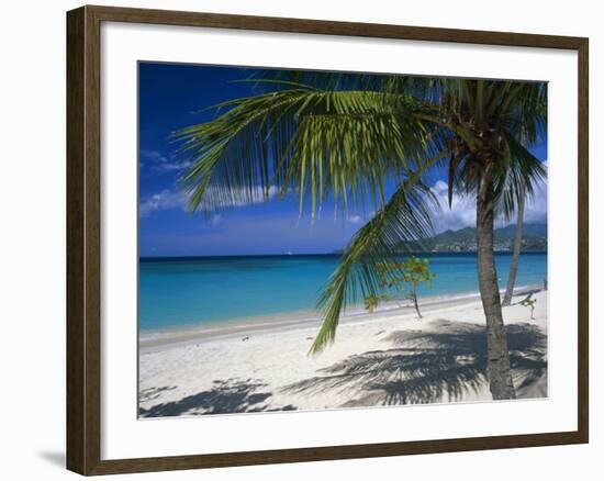 Palm Tee and Beach, Grand Anse Beach, Grenada, Windward Islands, Caribbean, West Indies-John Miller-Framed Photographic Print