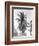 Palm Tree, 1925-Tina Modotti-Framed Giclee Print