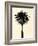 Palm Tree 1979 Tan-Erik Asla-Framed Photographic Print