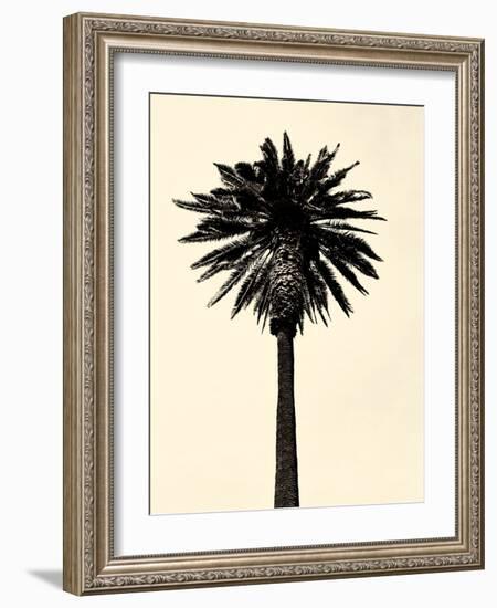 Palm Tree 1979 Tan-Erik Asla-Framed Photographic Print