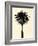 Palm Tree 1979 Tan-Erik Asla-Framed Photographic Print