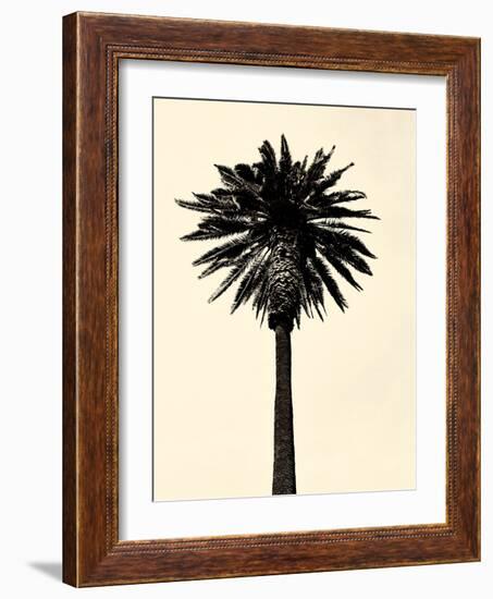 Palm Tree 1979 Tan-Erik Asla-Framed Photographic Print