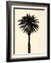 Palm Tree 1979 Tan-Erik Asla-Framed Photographic Print