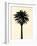 Palm Tree 1979 Tan-Erik Asla-Framed Photographic Print