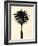 Palm Tree 1979 Tan-Erik Asla-Framed Photographic Print