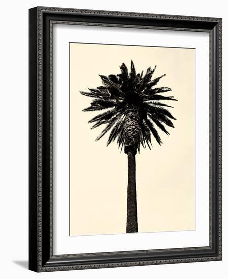 Palm Tree 1979 Tan-Erik Asla-Framed Photographic Print