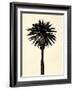 Palm Tree 1979 Tan-Erik Asla-Framed Photographic Print