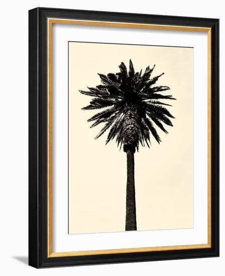 Palm Tree 1979 Tan-Erik Asla-Framed Photographic Print