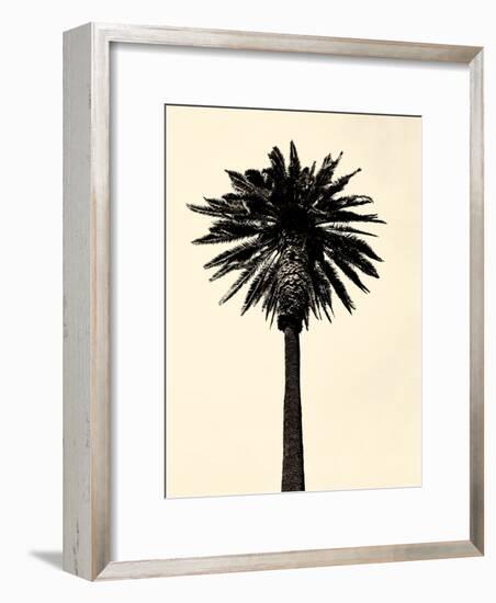 Palm Tree 1979 Tan-Erik Asla-Framed Photographic Print