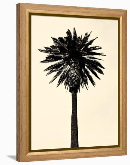 Palm Tree 1979 Tan-Erik Asla-Framed Premier Image Canvas