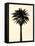 Palm Tree 1979 Tan-Erik Asla-Framed Premier Image Canvas