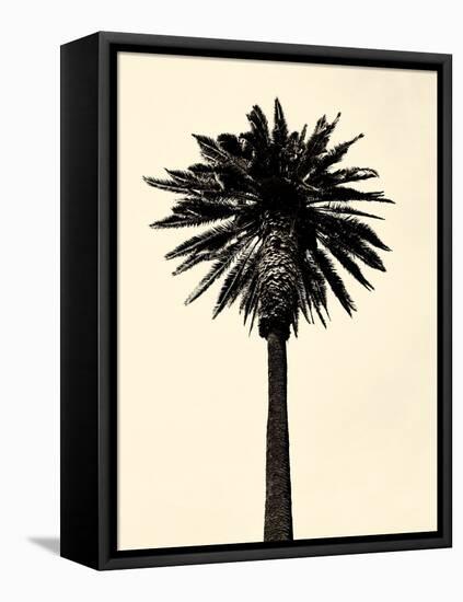 Palm Tree 1979 Tan-Erik Asla-Framed Premier Image Canvas