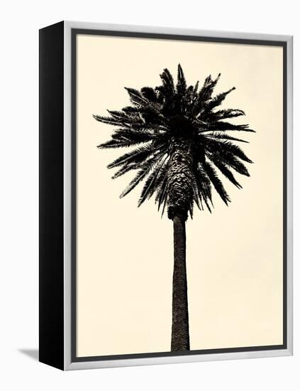 Palm Tree 1979 Tan-Erik Asla-Framed Premier Image Canvas