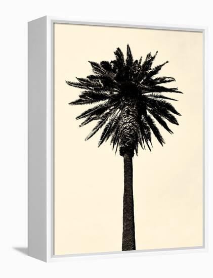 Palm Tree 1979 Tan-Erik Asla-Framed Premier Image Canvas