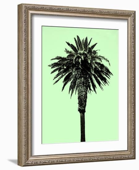 Palm Tree 1996 (Green)-Erik Asla-Framed Photographic Print