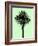 Palm Tree 1996 (Green)-Erik Asla-Framed Photographic Print