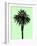 Palm Tree 1996 (Green)-Erik Asla-Framed Photographic Print