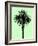 Palm Tree 1996 (Green)-Erik Asla-Framed Photographic Print