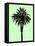 Palm Tree 1996 (Green)-Erik Asla-Framed Premier Image Canvas