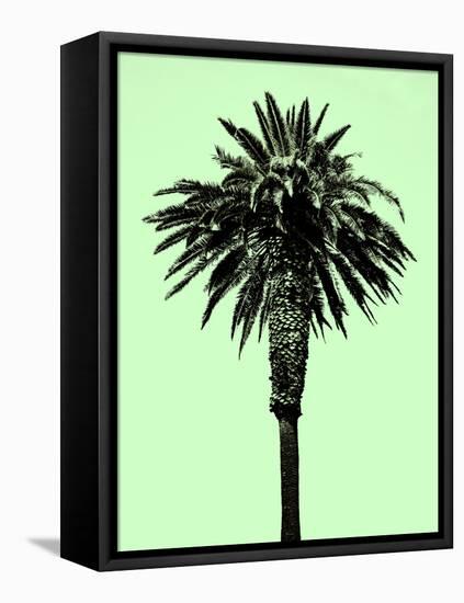 Palm Tree 1996 (Green)-Erik Asla-Framed Premier Image Canvas