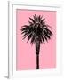 Palm Tree 1996 (Pink)-Erik Asla-Framed Photographic Print