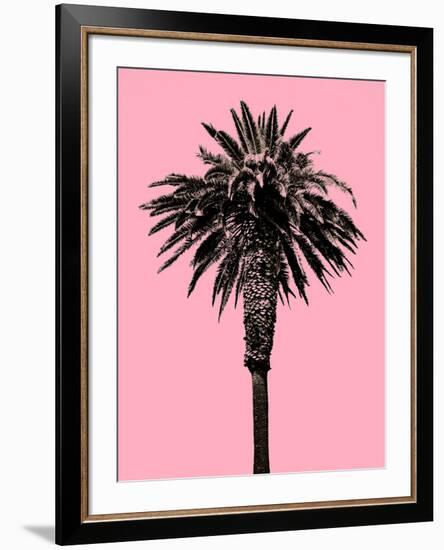 Palm Tree 1996 (Pink)-Erik Asla-Framed Photographic Print