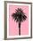 Palm Tree 1996 (Pink)-Erik Asla-Framed Photographic Print