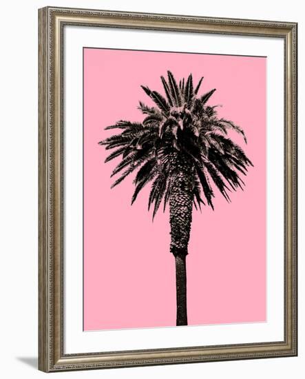 Palm Tree 1996 (Pink)-Erik Asla-Framed Photographic Print