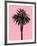 Palm Tree 1996 (Pink)-Erik Asla-Framed Photographic Print