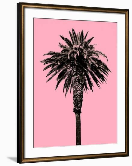 Palm Tree 1996 (Pink)-Erik Asla-Framed Photographic Print