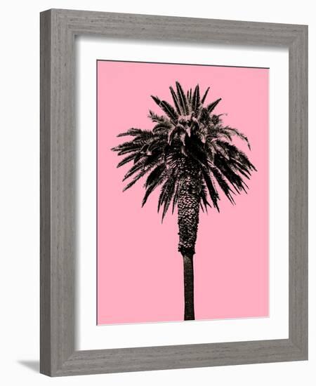 Palm Tree 1996 (Pink)-Erik Asla-Framed Photographic Print