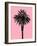 Palm Tree 1996 (Pink)-Erik Asla-Framed Photographic Print