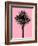 Palm Tree 1996 (Pink)-Erik Asla-Framed Photographic Print