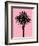 Palm Tree 1996 (Pink)-Erik Asla-Framed Photographic Print