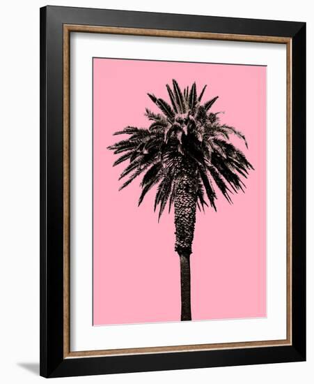 Palm Tree 1996 (Pink)-Erik Asla-Framed Photographic Print