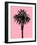 Palm Tree 1996 (Pink)-Erik Asla-Framed Photographic Print