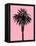 Palm Tree 1996 (Pink)-Erik Asla-Framed Premier Image Canvas