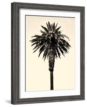 Palm Tree 1996 (Tan)-Erik Asla-Framed Photographic Print
