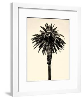 Palm Tree 1996 (Tan)-Erik Asla-Framed Photographic Print