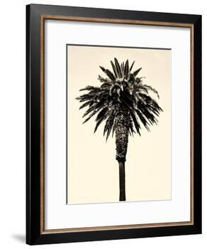 Palm Tree 1996 (Tan)-Erik Asla-Framed Photographic Print