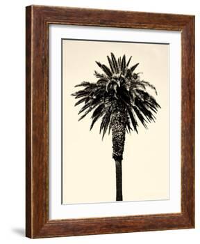 Palm Tree 1996 (Tan)-Erik Asla-Framed Photographic Print