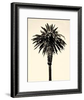 Palm Tree 1996 (Tan)-Erik Asla-Framed Photographic Print