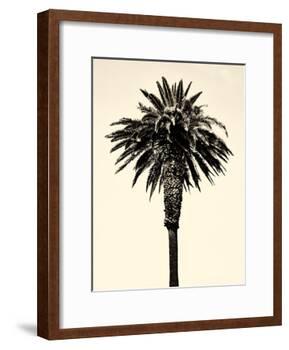 Palm Tree 1996 (Tan)-Erik Asla-Framed Photographic Print