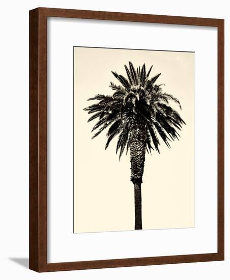 Palm Tree 1996 (Tan)-Erik Asla-Framed Photographic Print