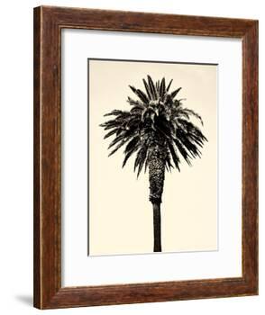 Palm Tree 1996 (Tan)-Erik Asla-Framed Photographic Print