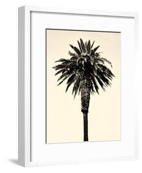 Palm Tree 1996 (Tan)-Erik Asla-Framed Photographic Print