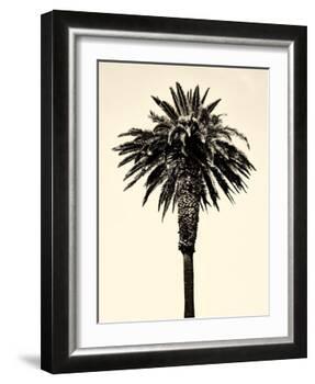 Palm Tree 1996 (Tan)-Erik Asla-Framed Photographic Print